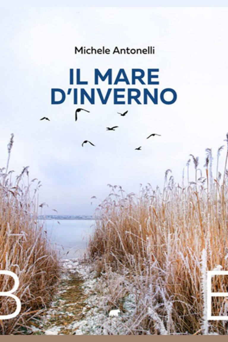 il mare d'inverno - michele antonelli